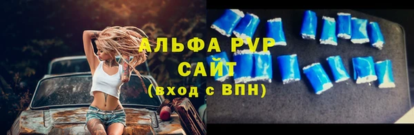 хмурый Арсеньев