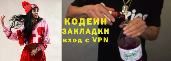 хмурый Арсеньев