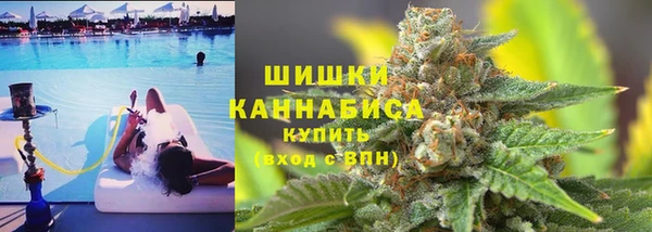 хмурый Арсеньев