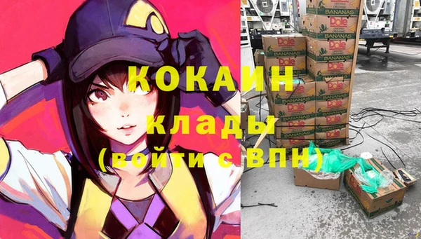 хмурый Арсеньев