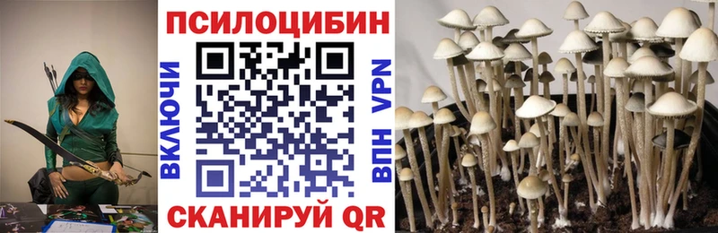 Галлюциногенные грибы Psilocybine cubensis  Купить  Нижняя Салда 
